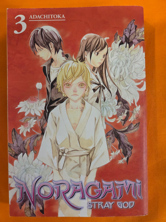 Noragami Stray God (Volume 3)