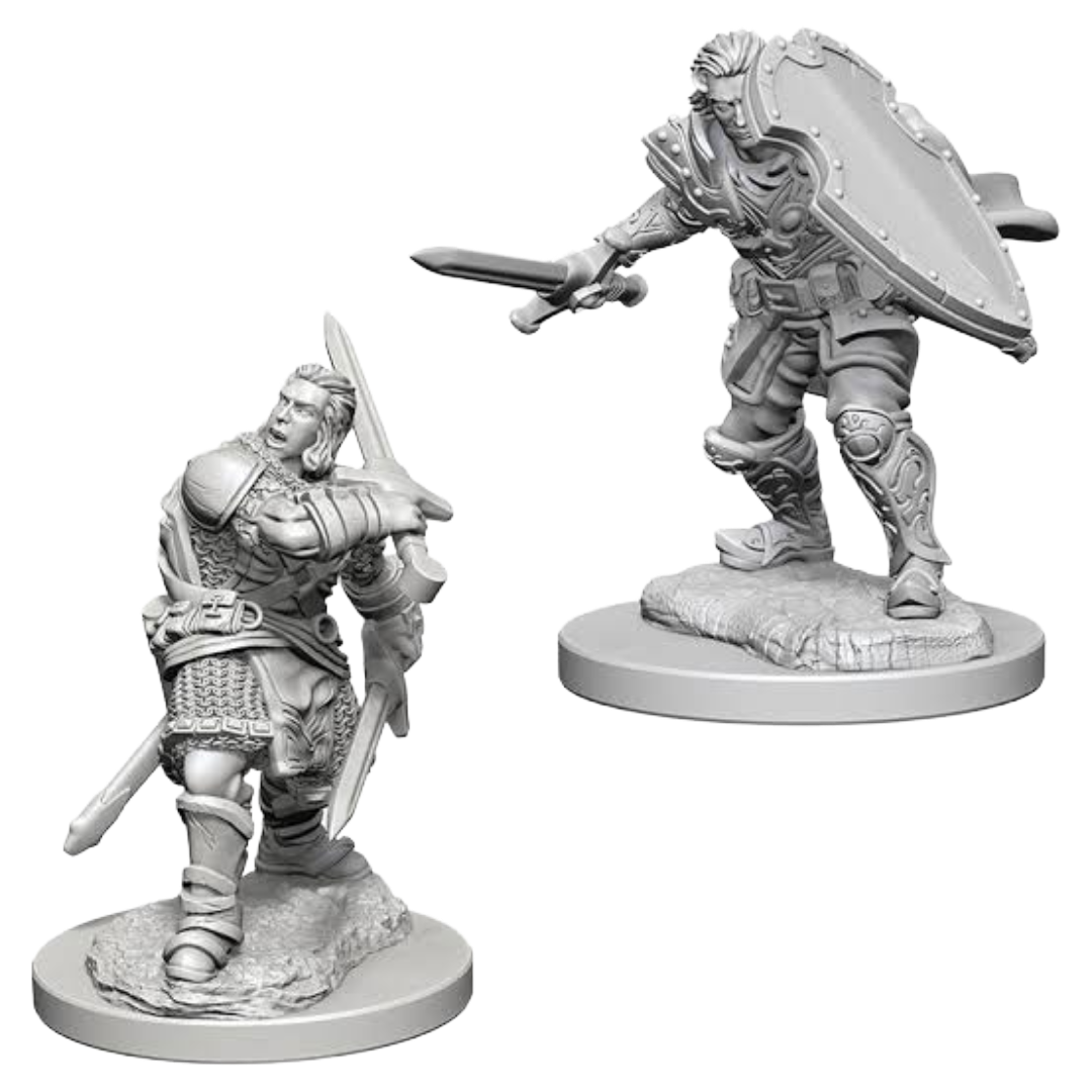 WizKids - D&D Nolzurs Marvelous Miniatures: Human Male Paladin - Wave 3