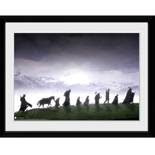 The Lord of The Rings Fellowship 30 x 40cm Framed Collector Print