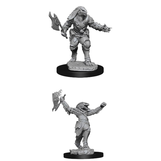 Wizkids - D&D Nolzurs Marvelous Miniatures: Female Dragonborn Fighter - Wave 11