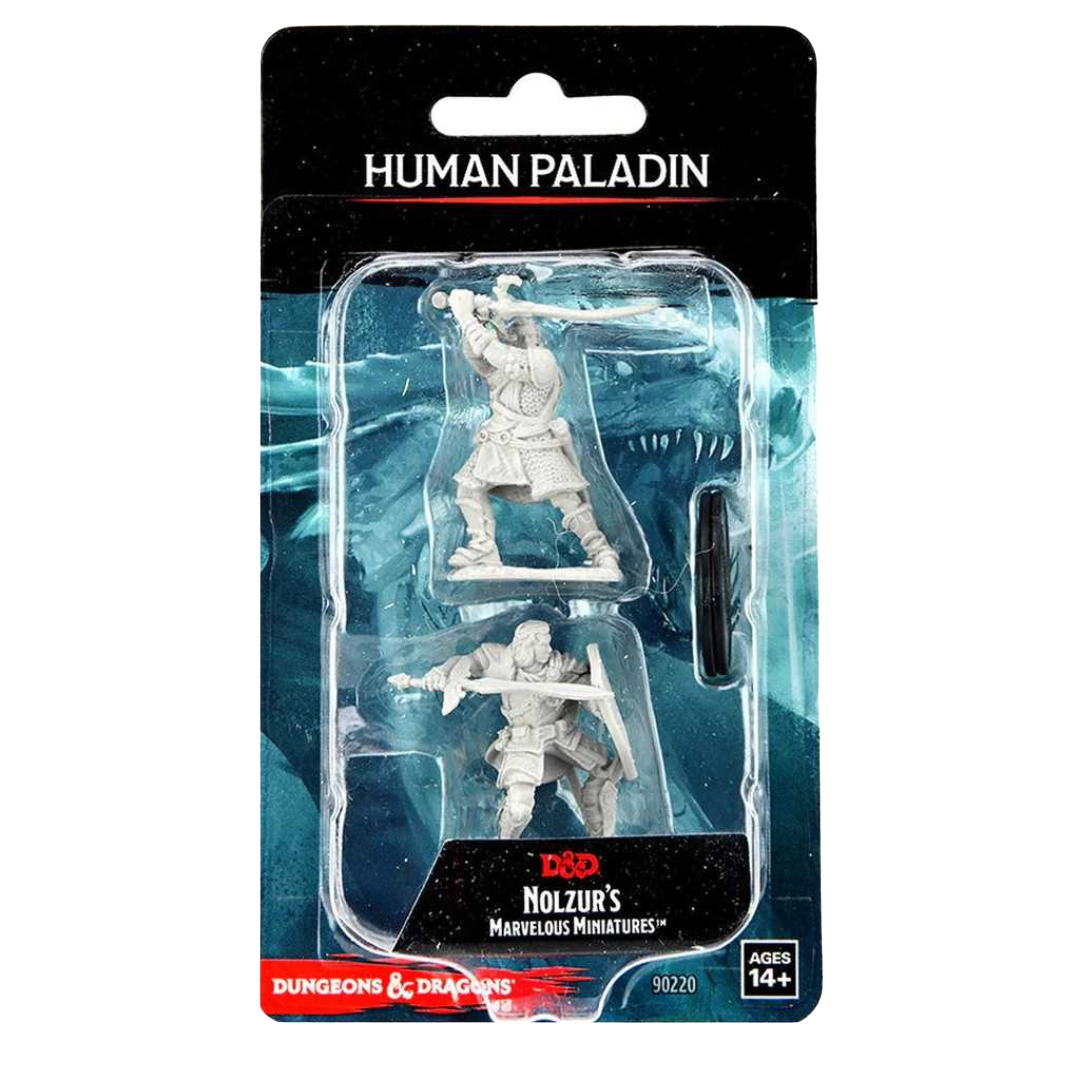D&D Nolzur's Marvelous Miniatures: Human Paladin Male