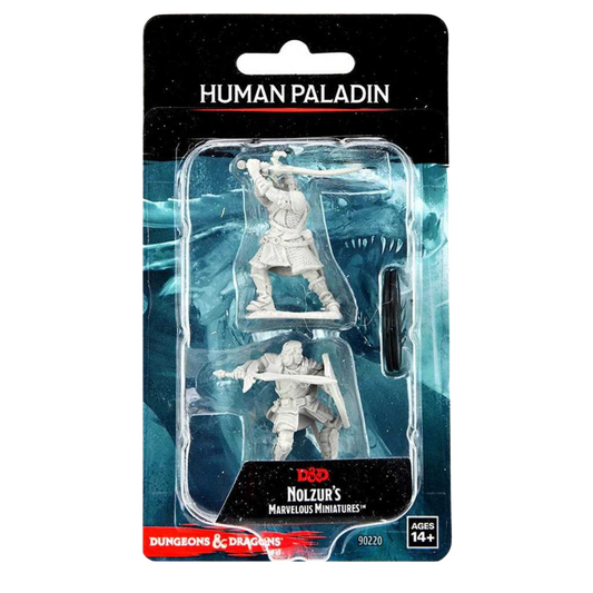 D&D Nolzur's Marvelous Miniatures: Human Paladin Male