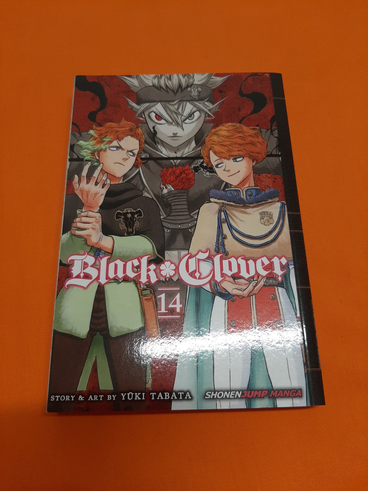 Black Clover (Volume 14)