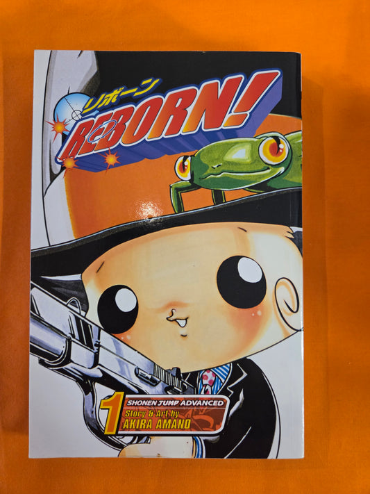 Reborn! (Volume 1)