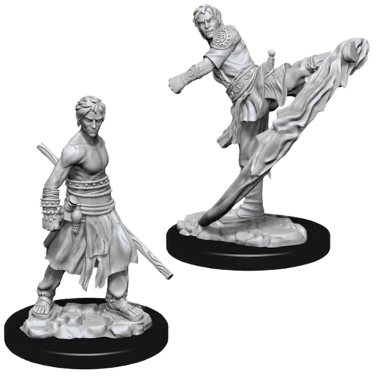 WizKids - D&D Nolzurs Marvelous Miniatures: Male Half-Elf Monk - Wave 10